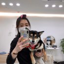 아담사진관