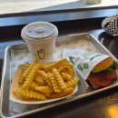 하누까까 | 시골쥐 서울 상경 1_(25.11.15)