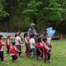 숲속유치원 이미지