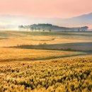 추억속의 이야기 이미지