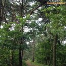 예향천리마실길 1코스 읍성성곽길 이미지