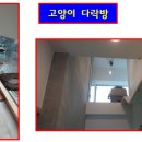 울디 동물병원 이미지