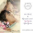 데이앤제이 네이버블로그