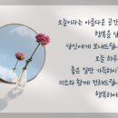 석양님 이미지