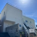 비비다아리 이미지