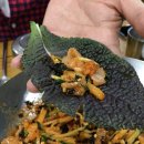 명품물회 송정본점 이미지