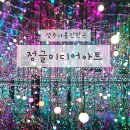 무한공간 | 경주가볼만한곳 실내 추천 아이랑 가기 좋은 정글미디어아트 후기