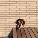 그루밍가든 이미지