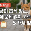 야간나를지키는생활법률 | 필수 확인! 길냥이 급식 장소, 법적 문제 없이 고르는 5가지 방법
