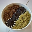 요거트월드 | 대구사월역맛집 요거트월드 두바이반반폭탄 후기 카다이프 최고