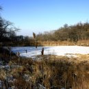 산성가축 이미지