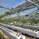 김경순농장 이미지