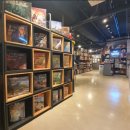 다빈치게임장 이미지