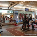 미지휘트니스골프클럽 | 운동하기 좋은 신수동헬스장 미지휘트니스골프클럽