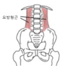 더운정필라테스 이미지