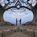 나의 기록 3월의 일상 (봄동비빔밥, 행궁동 나드리, 볼꾸, 부여 여행, 버터떡, 여권 사진, 호수공원...