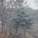 가야산식당 이미지