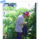 와우농장 이미지