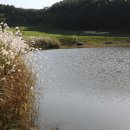 오션힐스청도골프클럽 이미지