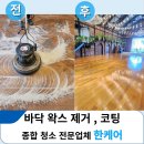 안청로 | 마루코팅 제거 전문업체, 5년 묵은 인천 호텔 예식장 강화마루 왁스 박리 후 재시공 후기
