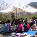 강진북초등학교 이미지