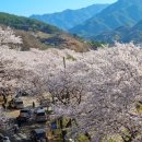 펀앤해피펜션 이미지