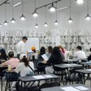 유지네 애견미용샵 이미지