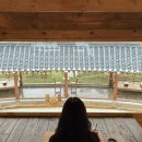 라파 | 경주여행 경주신상카페 경주대형카페 추천 - 노경보차라파 솔직후기