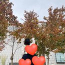 서래로2길 58 | 집순이의 흔치않은 서울나들이★ /국립중앙박물관/롯데월드몰/서울가든호텔