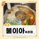 불이아속초점