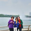 꽃보다 라인댄스 이미지