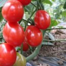 경수농장 이미지