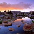 소중하개 이미지