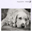 무지개다리 이미지