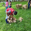 자선목장 이미지