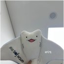 멍이와 양이 | 서울 명동 피부과 쥬베룩 스킨 케어 2cc 효과 후기