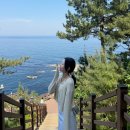 동산항물회 속초점 | 파워J의 강릉속초 2박3일 여행계획 강릉놀거리 강릉가볼만한곳 속초놀거리 속초가볼만한곳 속초내돈내산...