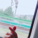 차니차니