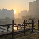 가온이네 이미지