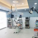 24시동물병원 이미지