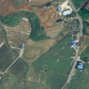 대지부동산중개인사무소 이미지