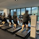 아나토미 스트랭스 이미지