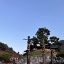 가을 성불산자연휴양림 즐기기(산책, 산림치유, 바베큐, 무인까페)