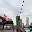 클럽나인(club9) | [몽골 재즈바] 울란바토르 시내 여행 맛집 Fat Cat Jazz Club(팻캣재즈클럽) 예약 방법 꿀팁 공유