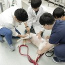 하트펫 동물병원 이미지