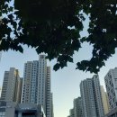 경전여객주식회사 이미지