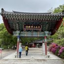 보계제1농로 | 여행 기록... 보경사 가는 길.