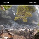 미니 쇠소깍 이미지