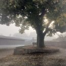 부흥 마을회관 이미지