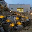 스테이 루비 이미지